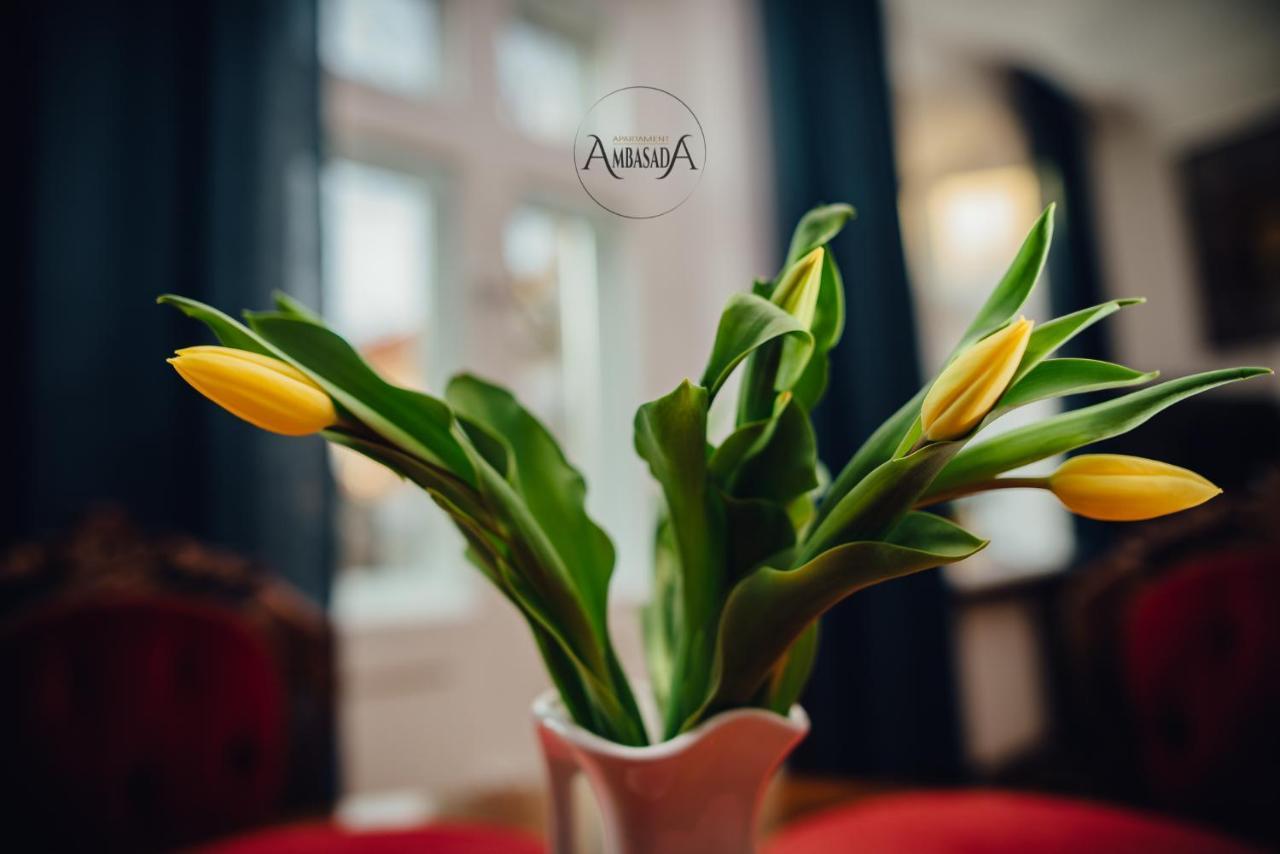 Apartament Ambasada Замосць Экстерьер фото